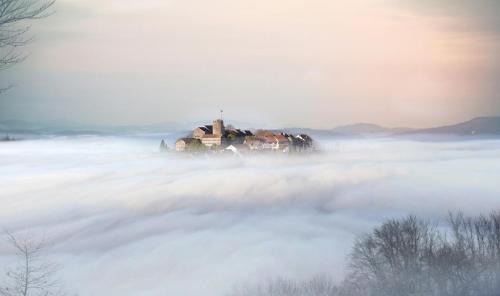 Regensberg Hotel | Hotel Krone Regensberg