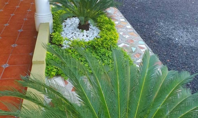 Sipacate Hotel | Hotel La Iguana Dorada