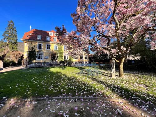 Thann Hotel | Hotel Restaurant Du Parc