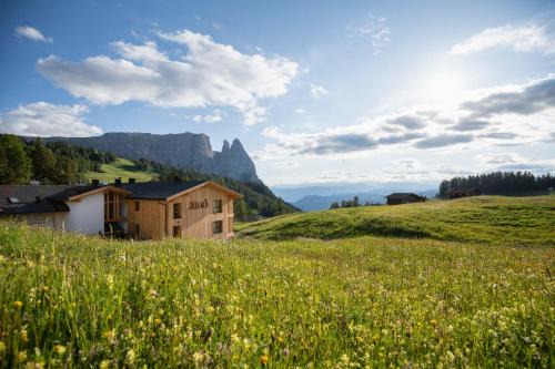 Castelrotto Hotel | Hotel Seelaus
