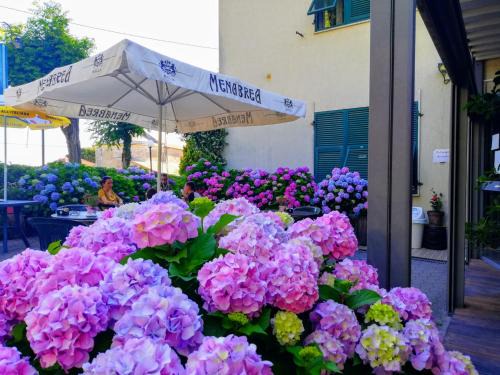 Costa Hotel | Hotel Silvia Framura - Cinque Terre