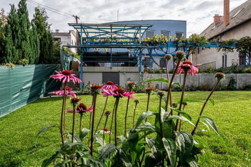 Prievidza Hotel | Hotel Squash Dependance