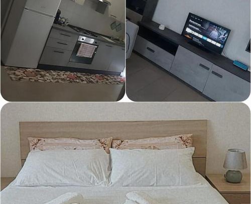 Latina House | House Arrow