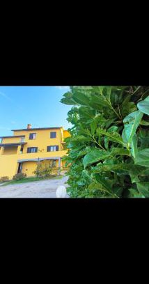 Bagnoregio House | House La Torricella