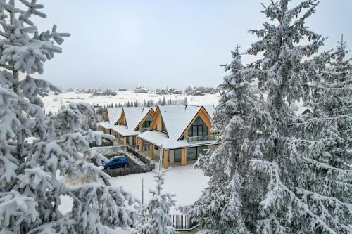 Bialy Dunajec House | House Prestige Wood