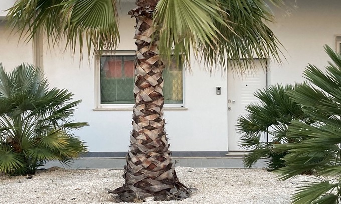 Leonforte Apartment | House with pleasant panorama