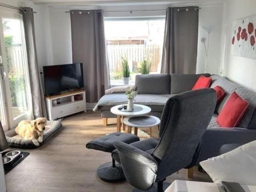 Onderdijk Apartment | Hundefreundliches Chalet Meise