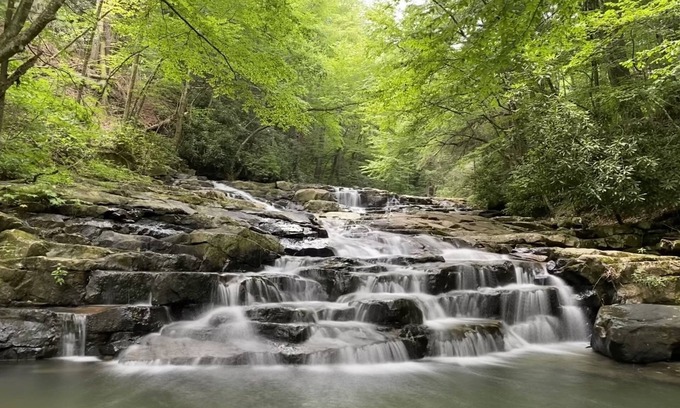Bloomington Cabin | Hunter's/Fishermen's Dream Cabin! - Direct Access to public game lands!