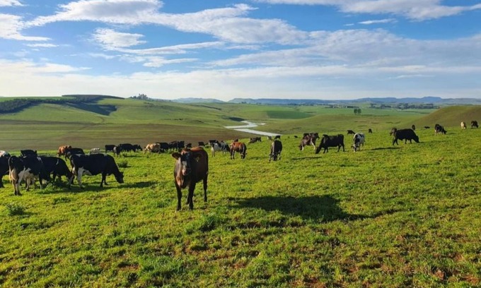 Mooirivier House | Hythe Cottages