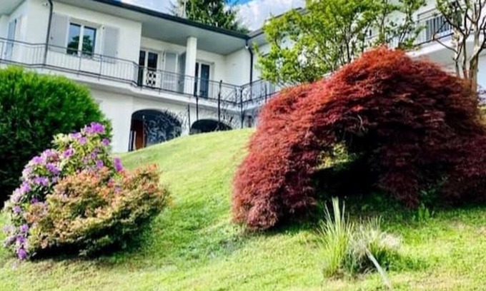 Como Villa | I FAGGI ROSSI - RED BEECH TREES