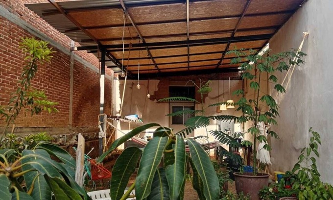 Ruta Independencia Cabin | Iguana Co-living