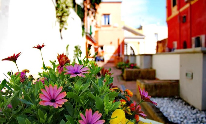 Procida House | Il Borghetto Apartments & Rooms