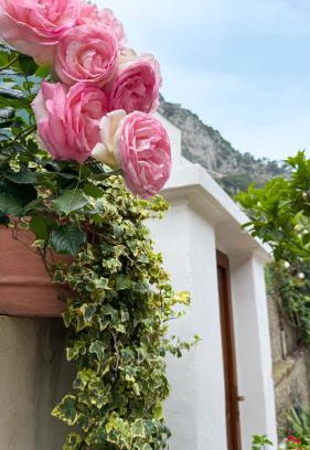 Marina Grande Bed & Breakfast | Il Cigno B&B