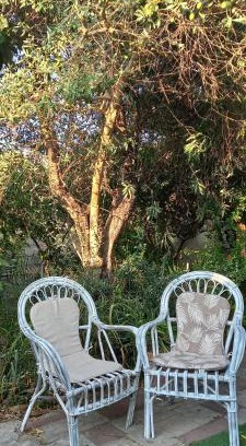 Solarussa House | Il Giardino