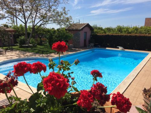Trappitello Bed & Breakfast | Il Giardino Segreto