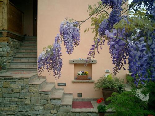 San Dorligo della Valle Bed & Breakfast | Il Glicine