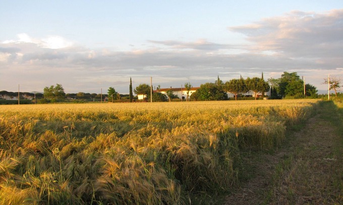 Grosseto Apartment | Il Granaio, Grosseto, apartment Fienile