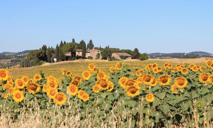 Scandicci Bed & Breakfast | Il Poggio B&B