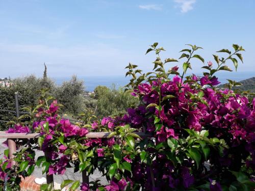 Moglio Bed & Breakfast | Il Porto di Benny