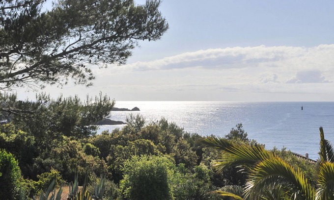 Saint-Raphael House | In a garden of all kinds of plants and flowers ., apartment 1