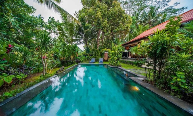 Ubud Villa | Infinity Jungle View Aashaya Villa Ubud