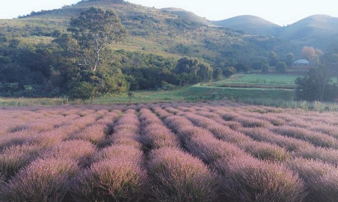 Pilgrims Rest House | Inn on Robberpass Pilgrims Rest