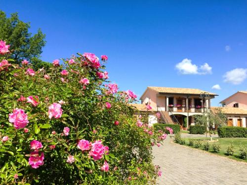 Sorano Apartment | ISA - Residence with swimming pool in Sorano, apartments with air conditioning and private outdoor area