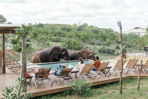 Maruleng Cabin | Isambane Camp