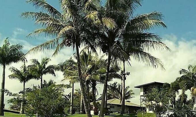 Papaikou Hotel | Island Goode's - Luxury Adults Only Accommodation