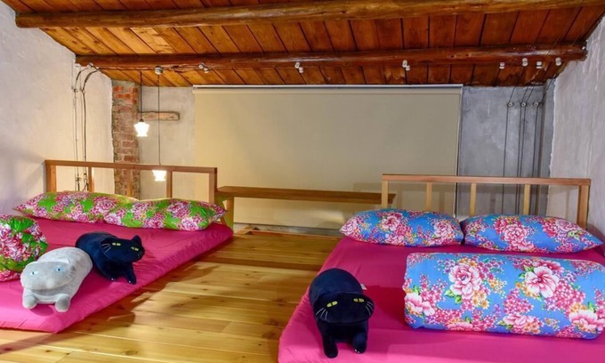 Ruifang Bed & Breakfast | Jiufen Little Meow Homestay