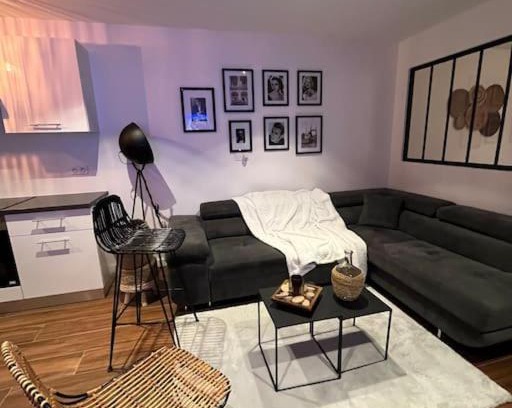 Bron Apartment | Jolie T2 entièrement équipé.