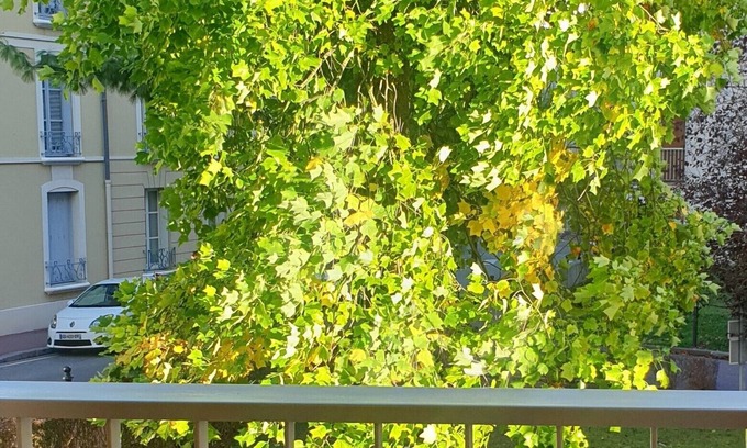 Saint-Germain-en-Laye Apartment | Jules' Key