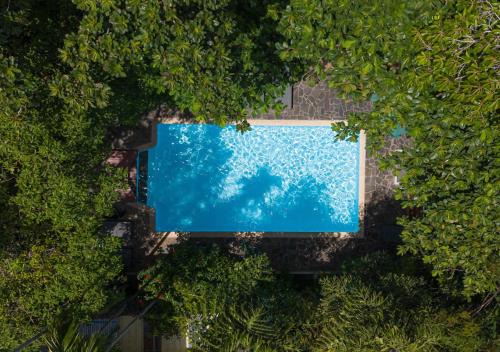 Daun Penh Hotel | Jungle Addition