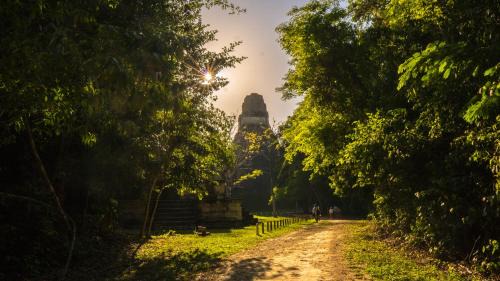 Tikal National Park Hotel | Jungle Lodge Tikal Hostal