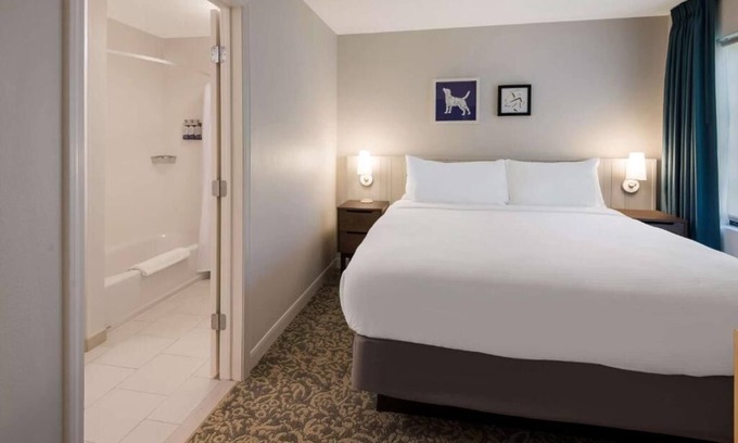 Andover Hotel | Just What You Were Looking For! 2 Modern Units, Pet-Friendly, Parking, Pool!