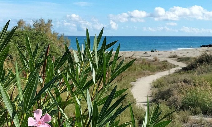 Bravone Apartment | Juste la Plage en Tout Compris