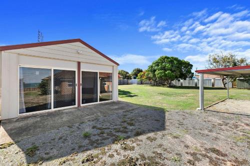 Point Vernon House | Kangaroos at the point