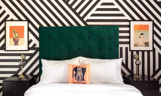 Dilworth Apartment | Kasa | Electrify your stay in charming Dilworth neighborhood | Charlotte