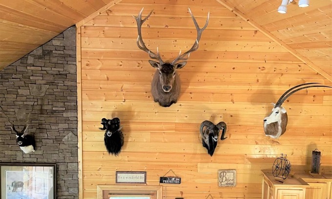 Ellijay Cabin | ✨KAYAKS✨River TUBES✨Pool table✨Mounts & ✨Antique Decor!