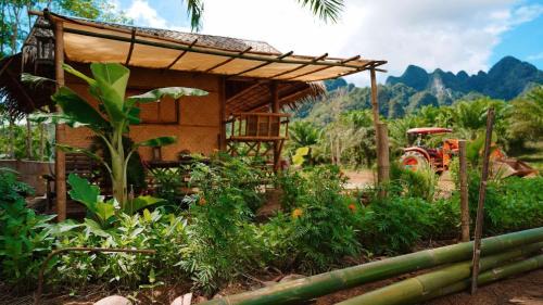 Khlong Sok House | Khaosok Eco House