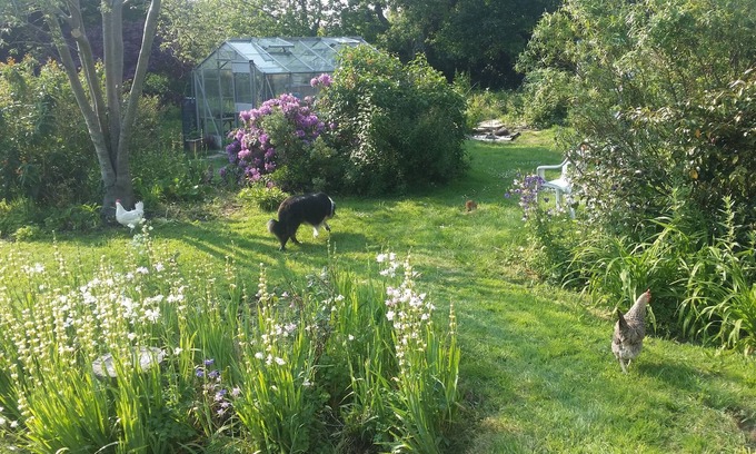 Ventnor Bed & Breakfast | Kingsmede Bed & Breakfast