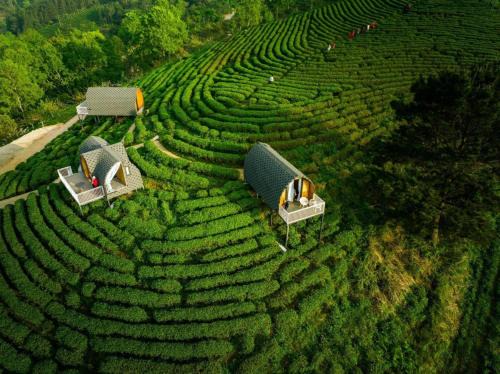 Nguyen Binh Hotel | Kolia Resort