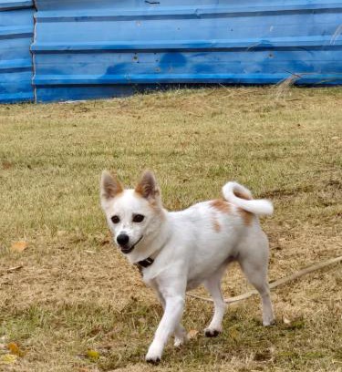 Paju House | Kong's heyri pet-friendly