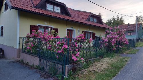 Generalski Stol Apartment | Kuća za odmor ,Erdelj 21 B