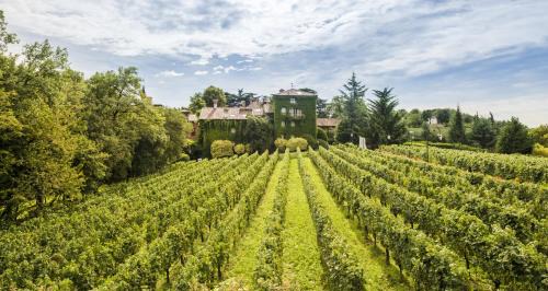 Erbusco Resort | L'Albereta Relais & Chateaux