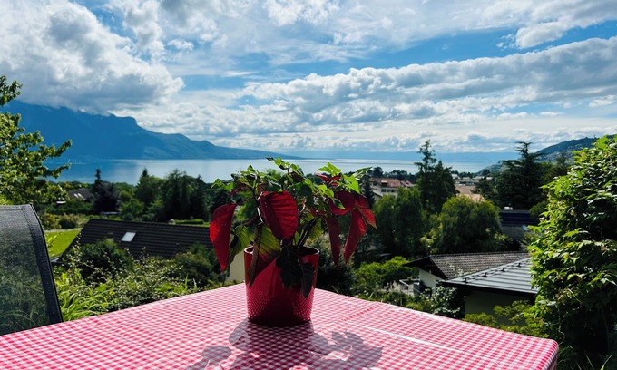 Saint-Legier-La Chiesaz Apartment | L'Appart Riviera panoramic view