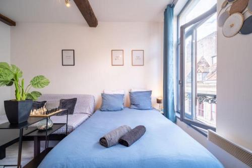 Lille Centre Ville Apartment | La belle niche