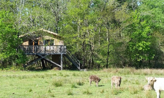 Cabanac-Et-Villagrains Other | La Cabane Pastorale - Cabanac ET Villagrains