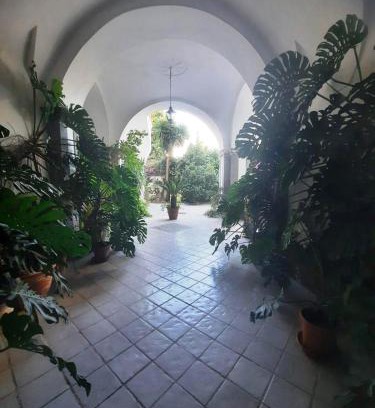 Meta House | La casa delle Camelie