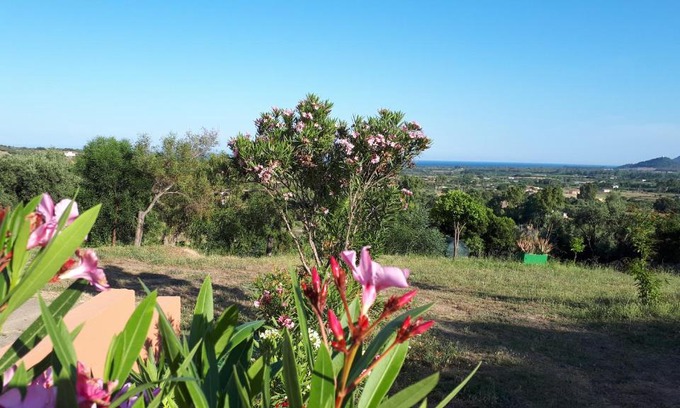 Bari Sardo Apartment | La Collina degli Ulivi